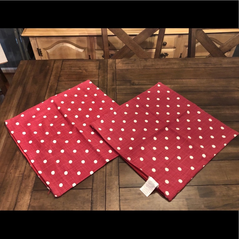 2 Pottery Barn 18” x 18” Pillow Covers